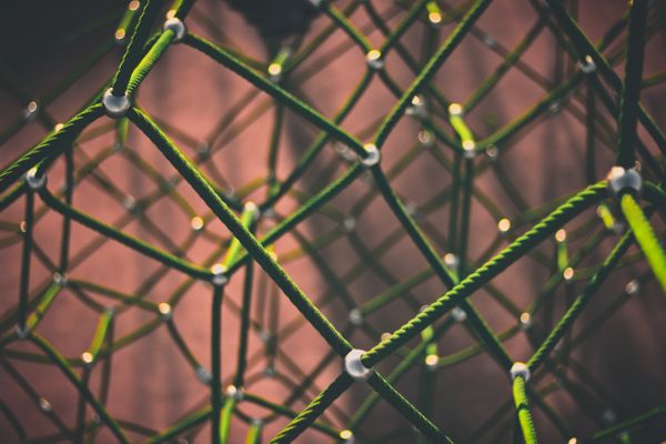 Bericht zum Europäischen Datenschutztag 2020